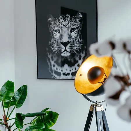 Apartment Duplex Spacieux Centre-ville De *