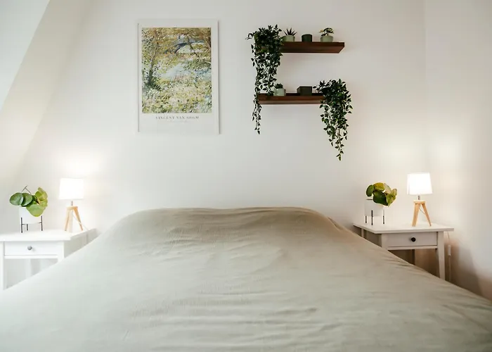Duplex Spacieux Centre-ville De Appartement *